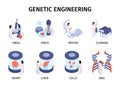 Isometric genetic engineering compositions set with organs cloning scenes isolated vector Royalty Free Stock Photo