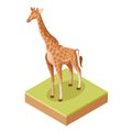 Isometric Giraffe icon