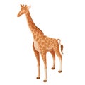 Isometric Giraffe icon