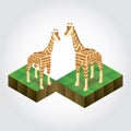 Isometric giraffe. Vector illustration decorative design