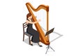 Isometric harp, a stringed musical instrument for festive, concert, and festival performances. Woman plays the harp