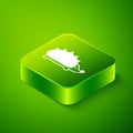 Isometric Hedgehog icon isolated on green background. Animal symbol. Green square button. Vector