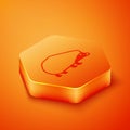 Isometric Hedgehog icon isolated on orange background. Animal symbol. Orange hexagon button. Vector