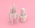 Isometric house plant and cactus, 3d Icon in flat color pink room,single color white,3d rendering