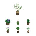 Isometric Houseplant Set Of Houseplant, Peyote, Tree And Other Vector Objects. Also Includes Cactus, Pot, Blossom