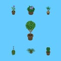 Isometric Houseplant Set Of Plant, Peyote, Blossom And Other Vector Objects. Also Includes Flower, Plant, Pot Elements.