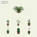 Isometric Houseplant Set Of Plant, Peyote, Flower And Other Vector Objects. Also Includes Blossom, Houseplant, Cactus