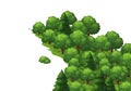Isometric illustration of a dense forest with a mixture of tree Royalty Free Stock Photo
