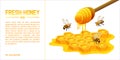 Isometric Illustration Honey and Bee template branding design