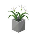 Elegant White Flowers in a Modern Gray Cube Pot Illustration
