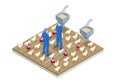 Isometric Indoors Chicken Farm, Chicken Feeding. Poultry Farm Web Banner Royalty Free Stock Photo