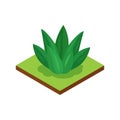 Isometric Jungle Lily Composition Royalty Free Stock Photo