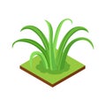 Isometric Jungle Plant Composition Royalty Free Stock Photo