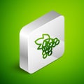 Isometric line Branch viburnum or guelder rose icon isolated on green background. Healthful viburnum fruit bunch for