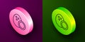 Isometric line Coconut icon isolated on purple and green background. Circle button. Vector