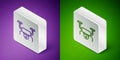 Isometric line Drone flying icon isolated on purple and green background. Quadrocopter with video and photo camera Royalty Free Stock Photo