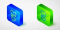 Isometric line Ethnoscience icon isolated grey background. Gardening, ethnoscience and organic concept. Blue and green