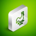 Isometric line Rooster weather vane icon isolated on green background. Weathercock sign. Windvane rooster. Silver square Royalty Free Stock Photo