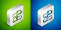 Isometric line Sauna slippers icon isolated on green and blue background. Silver square button. Vector