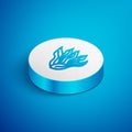 Isometric line Seaweed icon isolated on blue background. Underwater seaweed spirulina, aquatic marine algae plant. Vegan