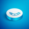 Isometric line Shrimp icon isolated on blue background. White circle button. Vector.
