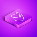Isometric line Spanish wineskin icon isolated on purple background. Purple square button. Vector