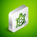 Isometric line Turtle icon isolated on green background. Silver square button. Vector.