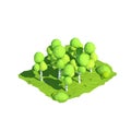 Isometric low poly birch, 3D rendering