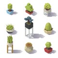 Isometric low poly Plants