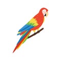Isometric Macaw Illustration