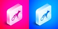 Isometric Paralyzed dog in wheelchair icon isolated on pink and blue background. Silver square button. Vector