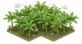 Isometric Pixel Art Grove with Palm Trees and Person Underneath the Shade in Lush Green Environment Royalty Free Stock Photo