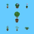 Isometric Plant Set Of Flower, Tree, Grower And Other Vector Objects. Also Includes Flower, Houseplant, Pot Elements.