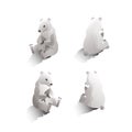 Isometric polar bears. Vector illustration decorative design Royalty Free Stock Photo