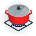 Isometric A pot on a gas cooker on a white background. Vector Blue flame.