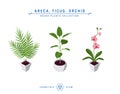 Isometric pot plants icons in flat style, vector Royalty Free Stock Photo