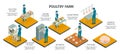 Poultry Farm Isometric Infographics