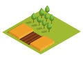 Isometric rural farm. Growing fruit trees and a field with a harvest of wheat or other cereals. Vector icon representing