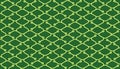 Isometric seamless pattern. Net lines background.