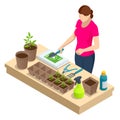 Isometric seedling transplanting process. Young vegetable seedlings of transplanting into peat pots using garden tools