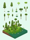 Isometric Simple Plants Set - Carboniferous Swamp-Forest Royalty Free Stock Photo