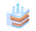 Isometric skin layer cross-section with collagen and air flow. Dermatology concept and skin breathability. Vector