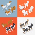 Isometric Small Dog Breeds with Jack-Russell Terrier, Corgi and West Highland Terrier