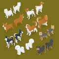 Isometric Small Dog Breeds with Jack-Russell Terrier, Corgi and West Highland Terrier