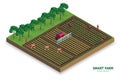 Isometric Smart Farm Composition Royalty Free Stock Photo