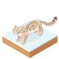 Isometric Snow Leopard