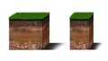 Isometric Soil Layers diagram, Cross section of green grass and underground soil layers beneath, stratum of organic, minerals, Royalty Free Stock Photo