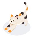 Isometric spotted cat