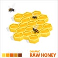 Isometric Sweet Honeycomb and bees. Raw Honey. Vector illustration isolated on white Royalty Free Stock Photo