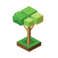 Isometric Tree Graphic with Cubes and Spheres for Game Development and Illustration Royalty Free Stock Photo